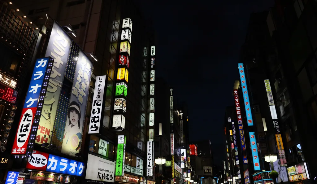 Illuminated signs and neon along a street in Tokyo at night