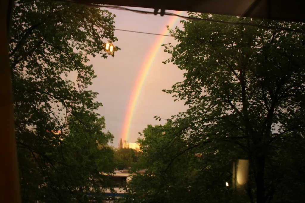 A rainbow between the trees in the evening sky
